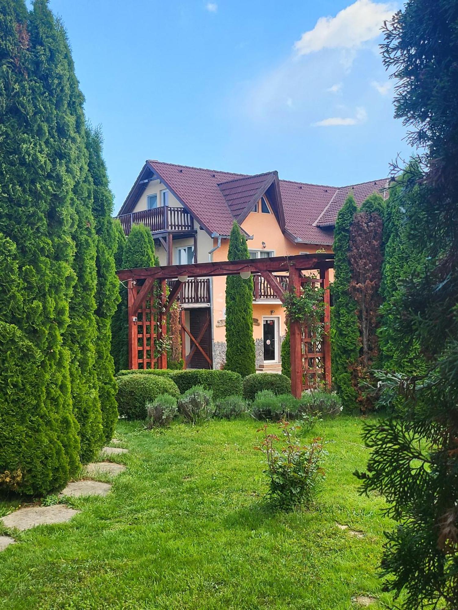 Pensiunea Mountain King Simbata de Sus Exterior photo