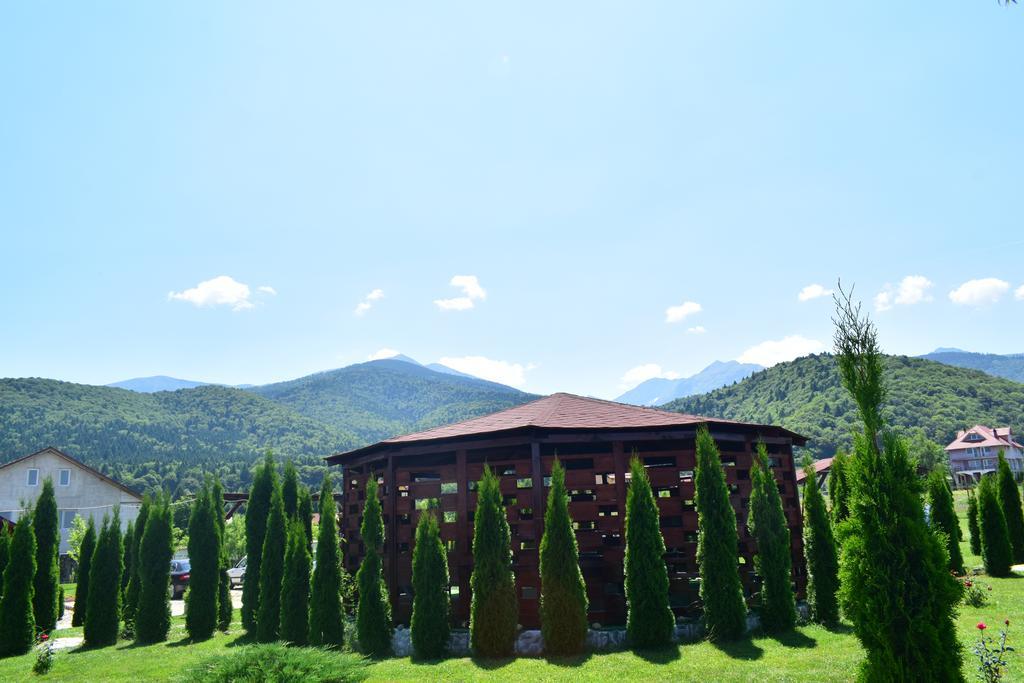Pensiunea Mountain King Simbata de Sus Exterior photo