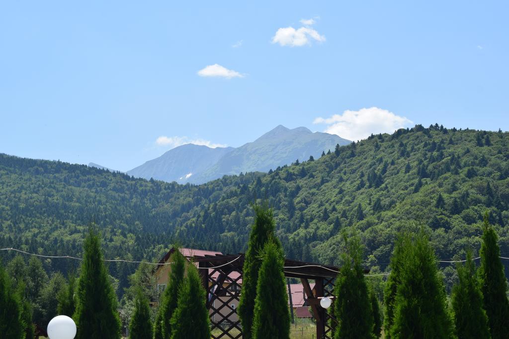 Pensiunea Mountain King Simbata de Sus Exterior photo