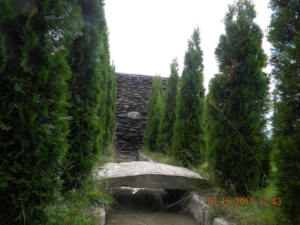 Pensiunea Mountain King Simbata de Sus Exterior photo