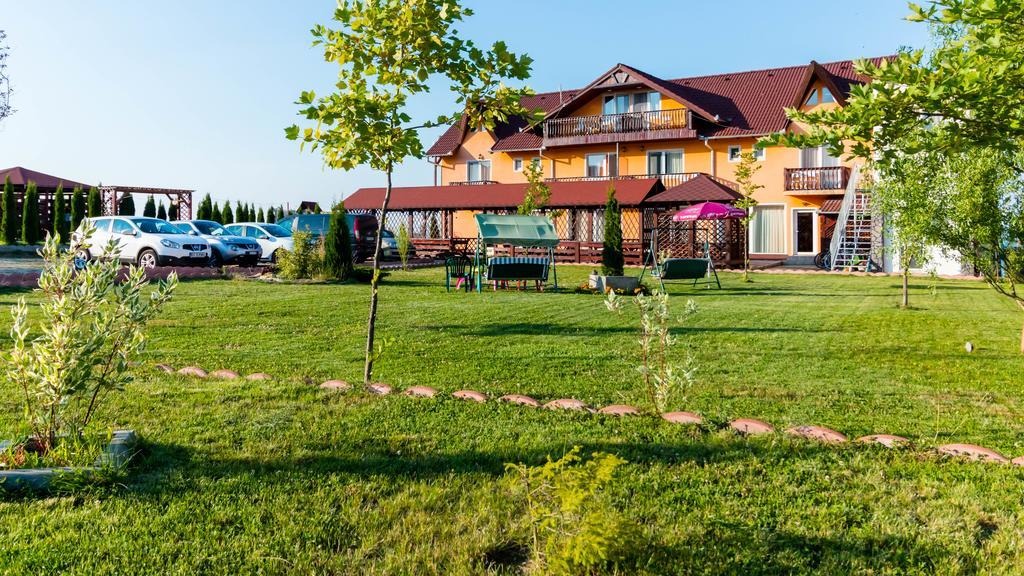 Pensiunea Mountain King Simbata de Sus Exterior photo